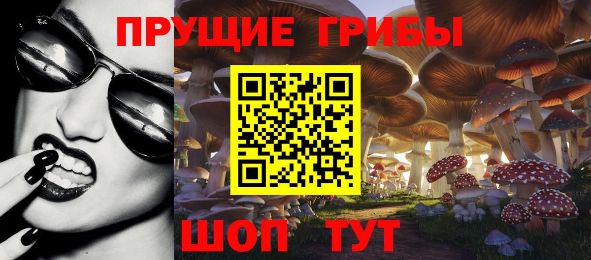 Псилоцибиновые грибы MAGIC MUSHROOMS  Вход с VPN  Кудымкар 